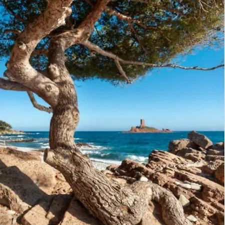 Le Semaphore Apartman *