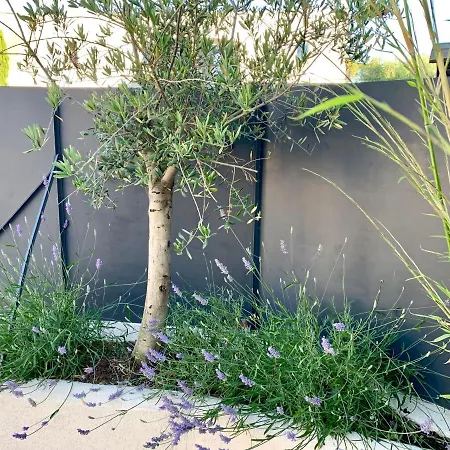 Apartman Le Semaphore