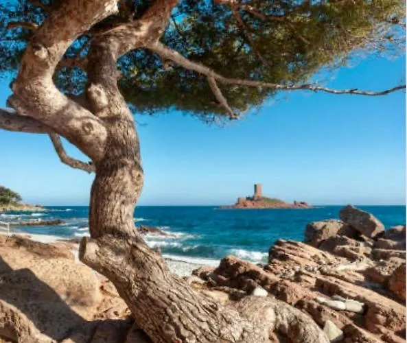 Le Semaphore Apartament *